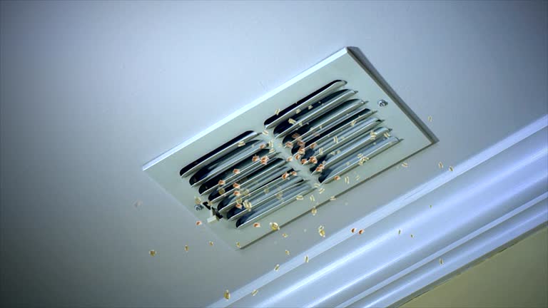 Trusted Elroy, NC Airduct Cleaning Experts
